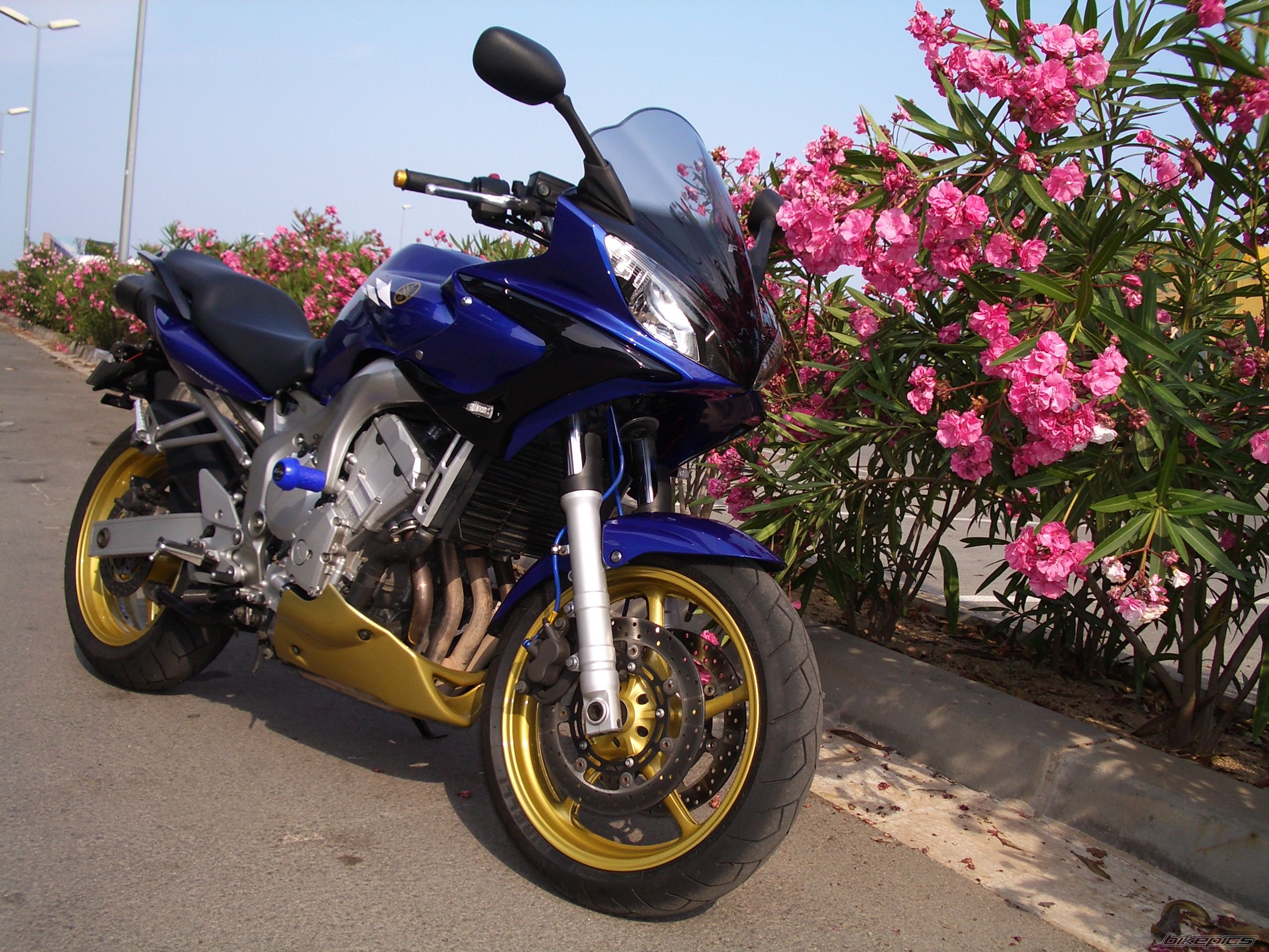 Bike Photo 700413