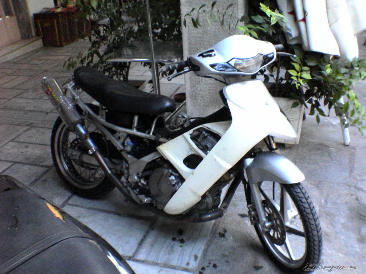 Photo 700451