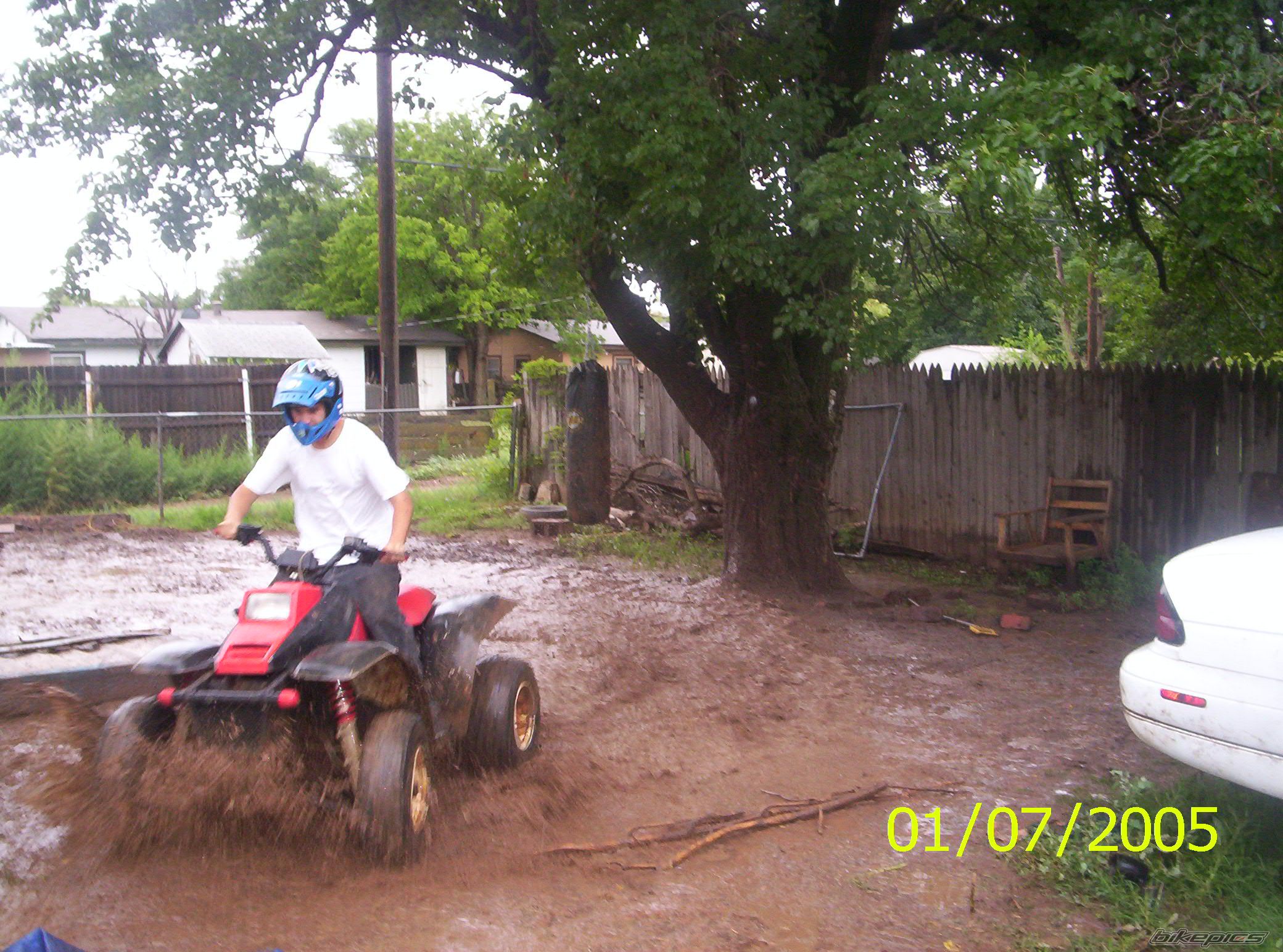 Photo 700527