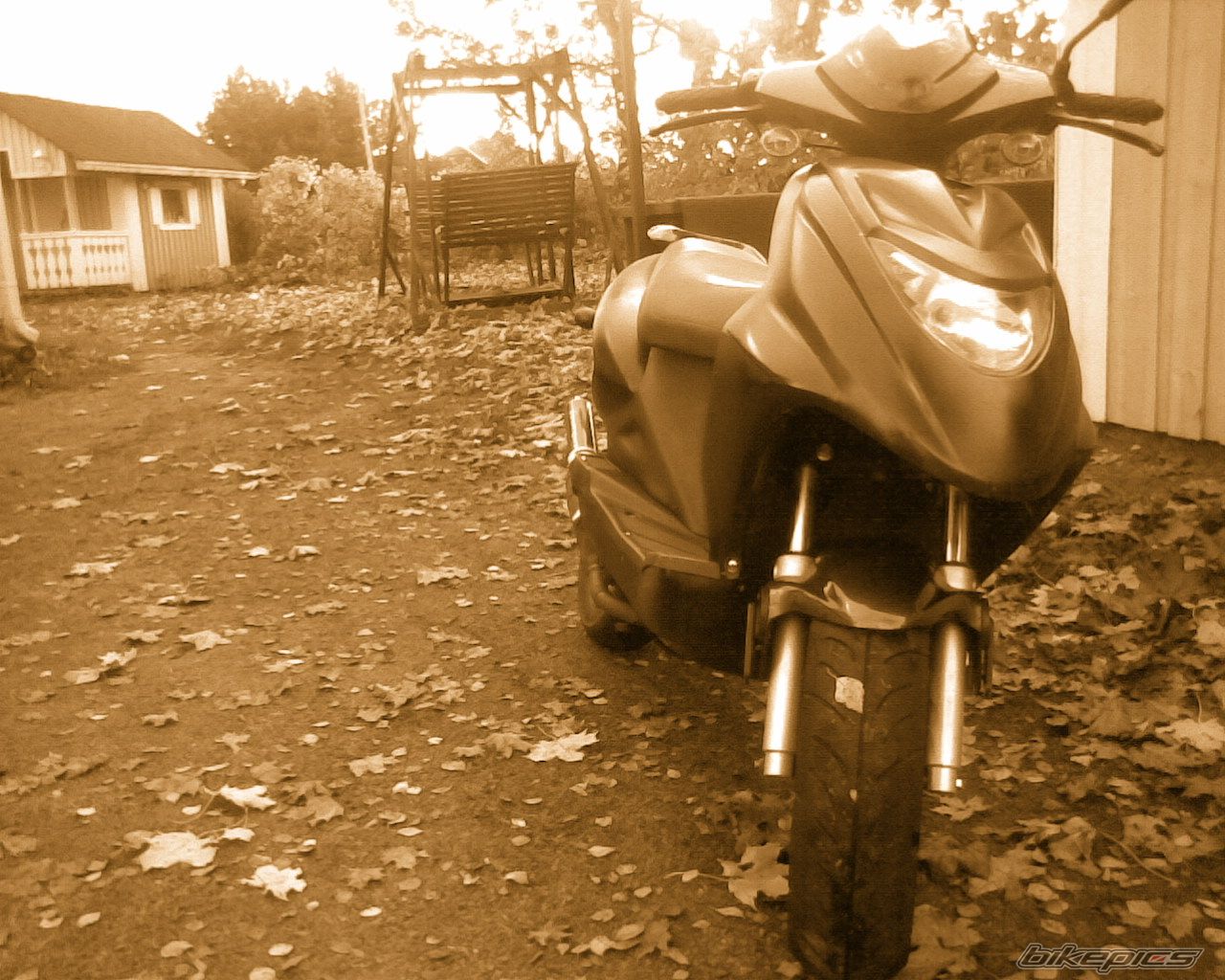 Photo 700615