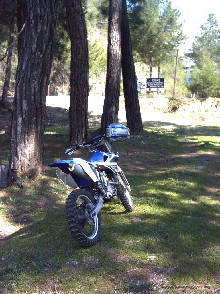 Photo 700646