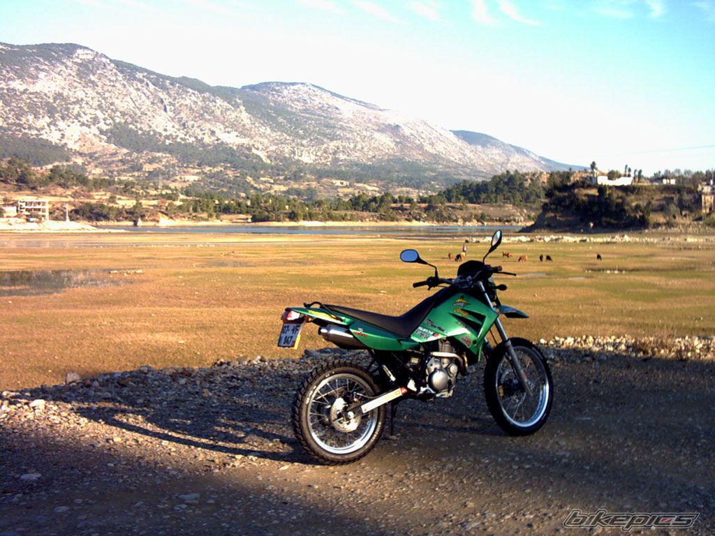 Bike Photo 700653