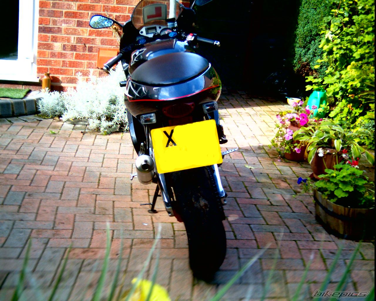 Bike Photo 700665