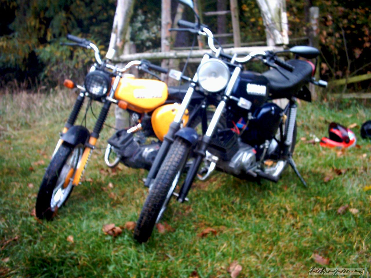 Photo 700747