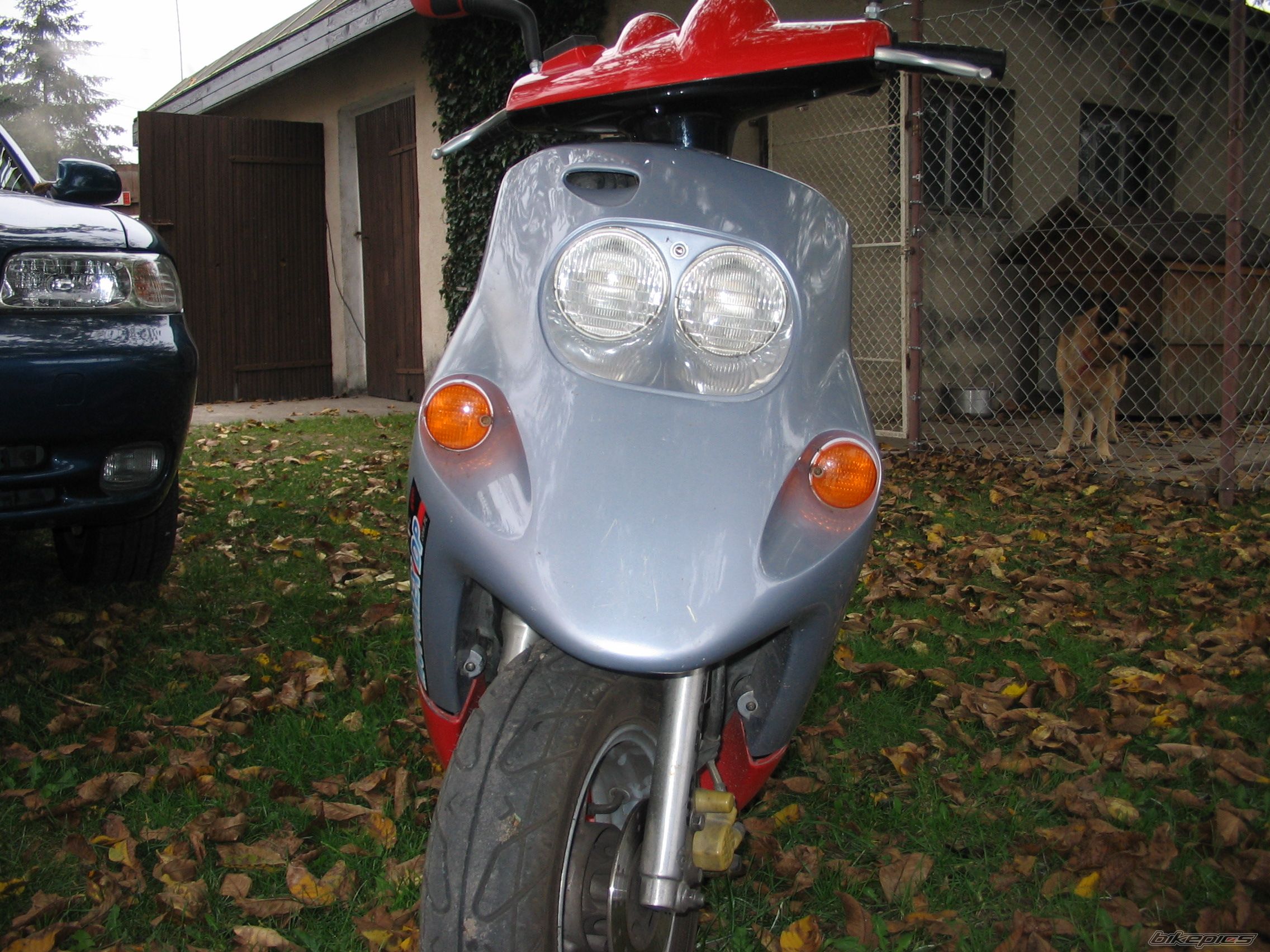 Photo 700945