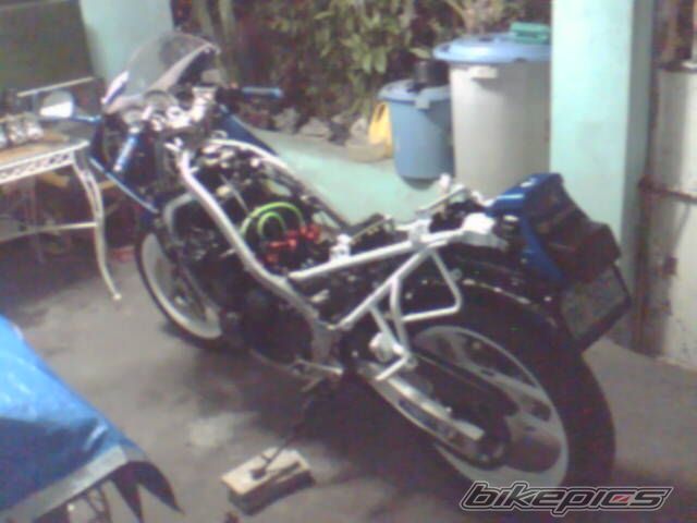 Photo 701182