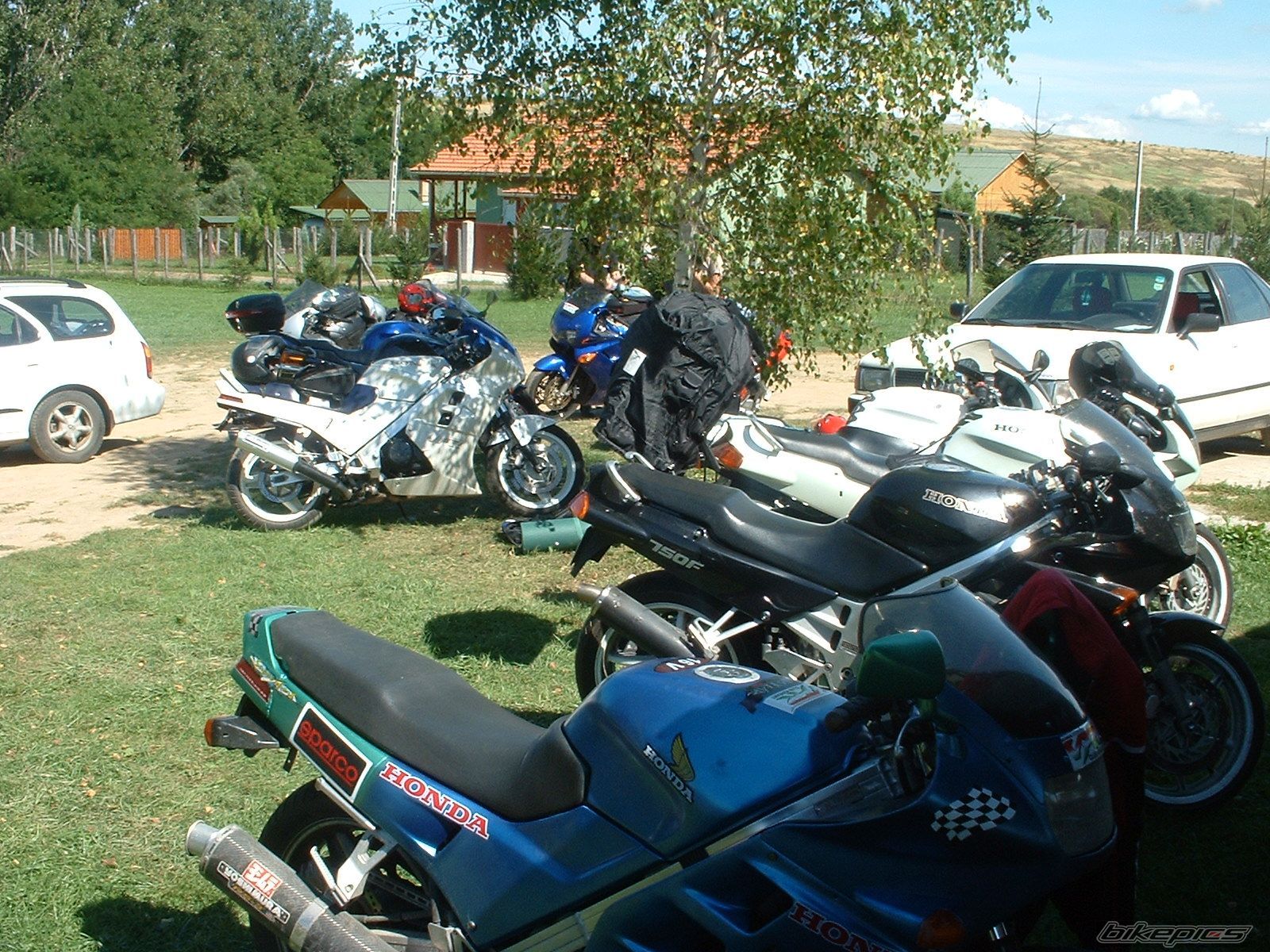 Photo 701547