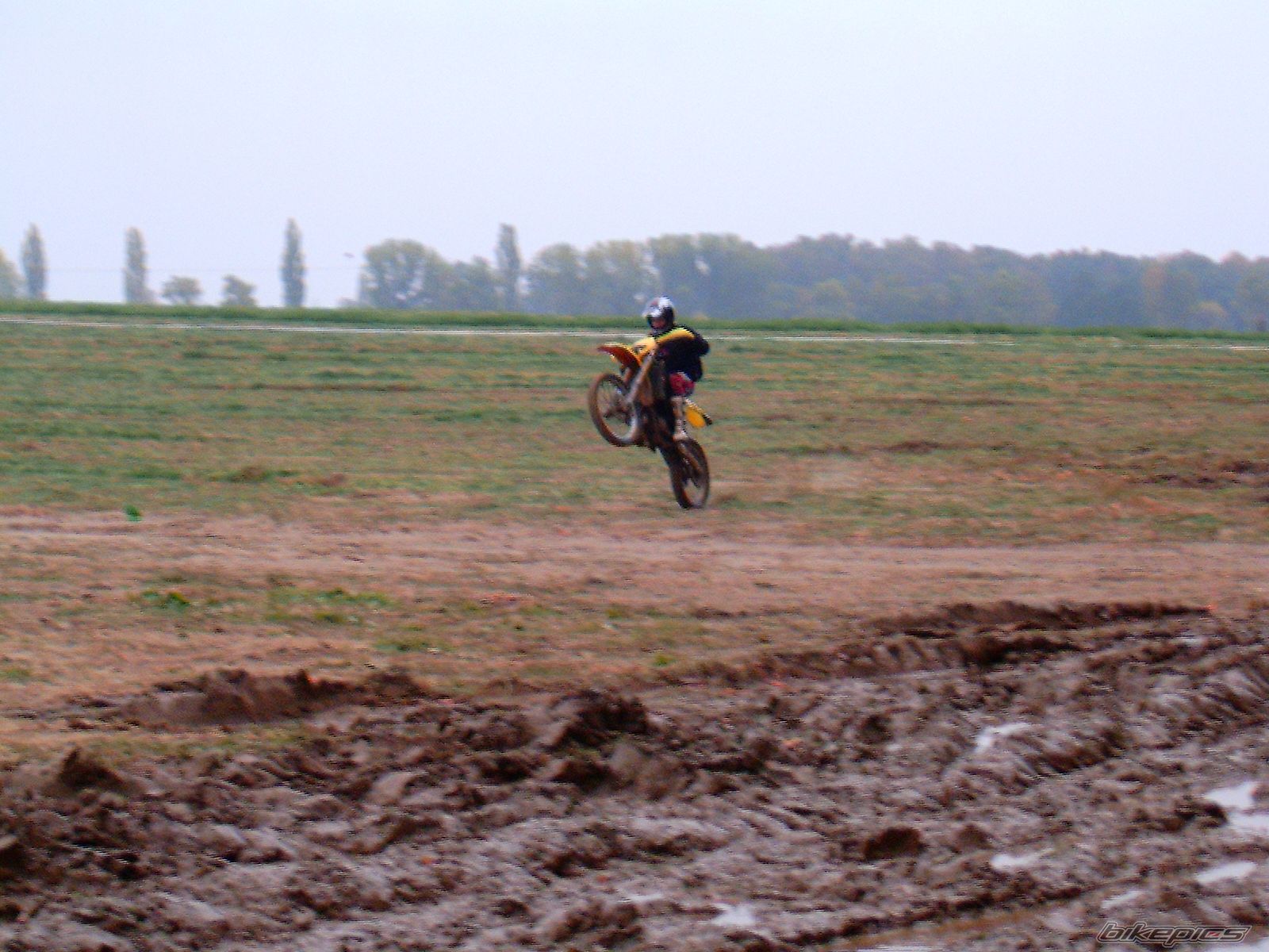 Photo 701736