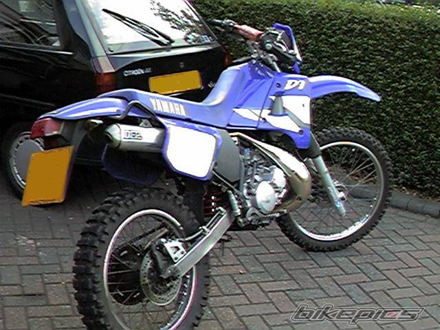 Photo 70202