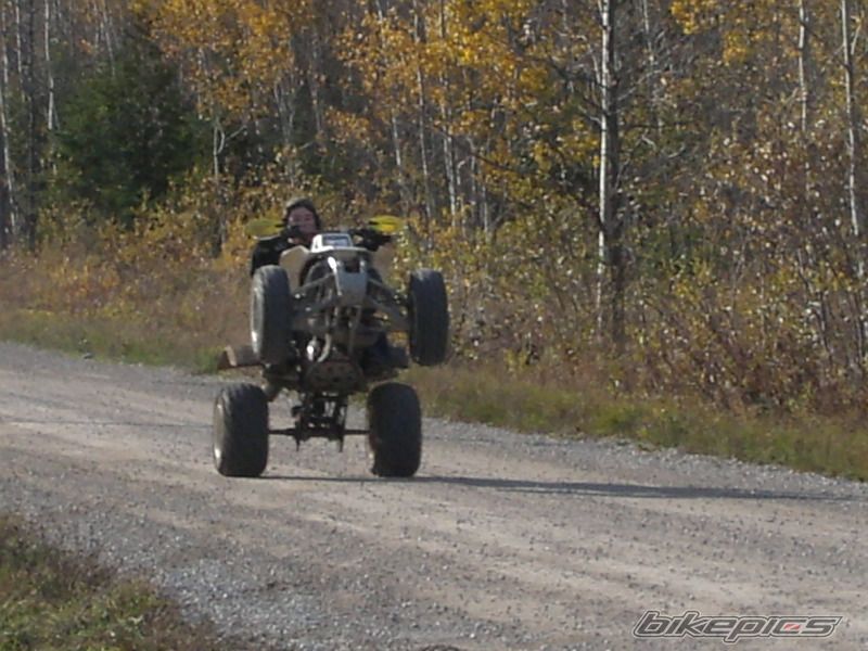Photo 702021