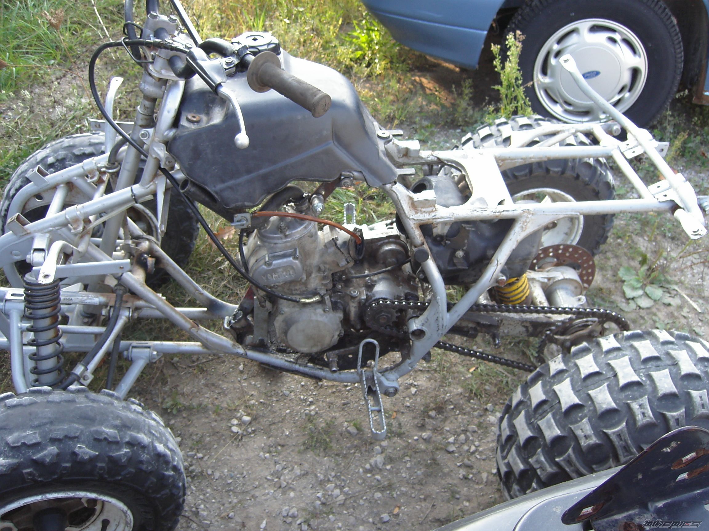 Photo 702025