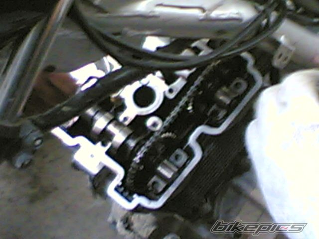 Photo 702163