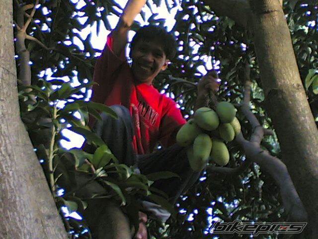 Photo 702174
