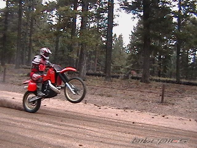 Bike Photo 702274