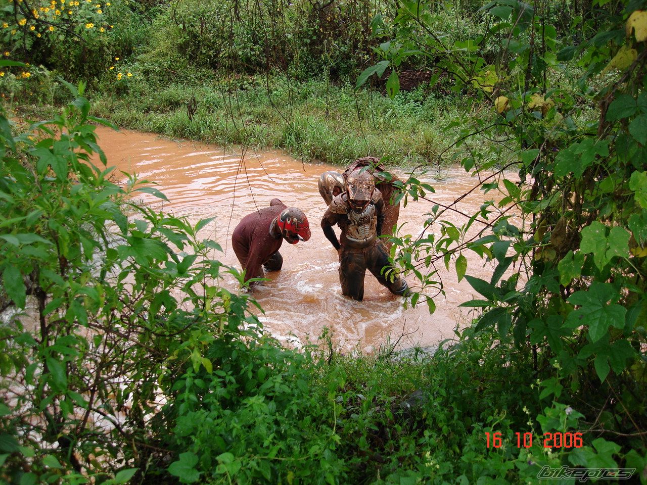 Photo 702331
