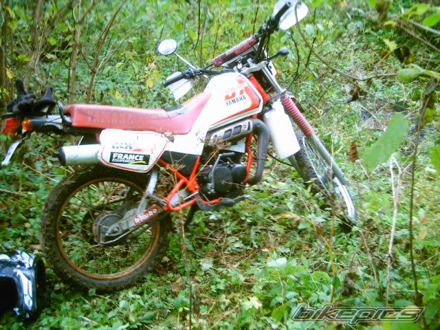 Photo 702545