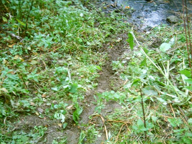 Photo 702546