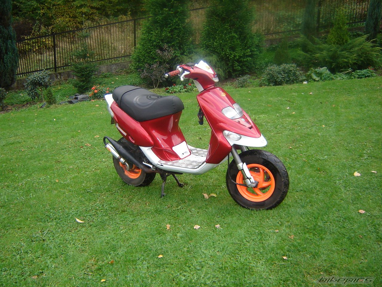 Photo 702583