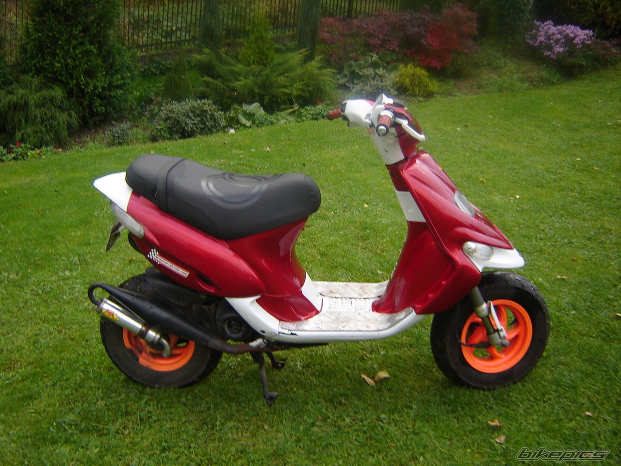 Photo 702632