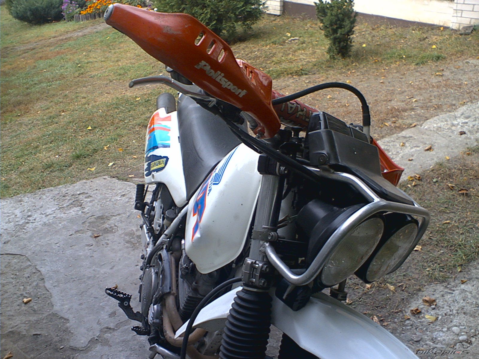 Photo 702869