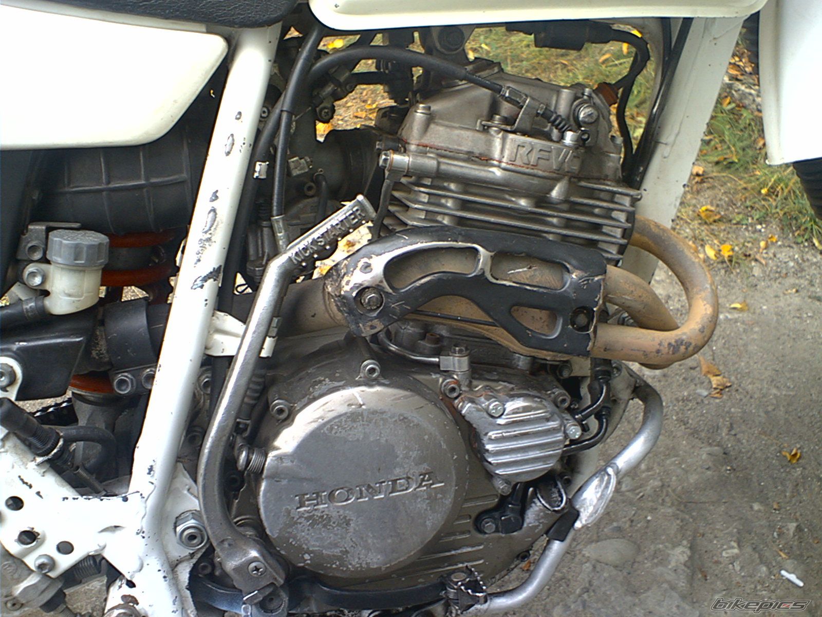 Photo 702873
