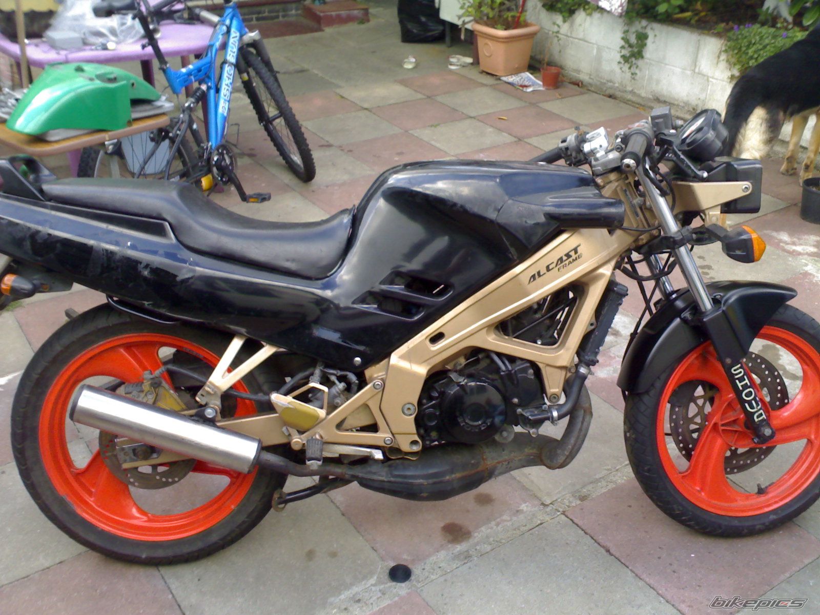Bike Photo 702909