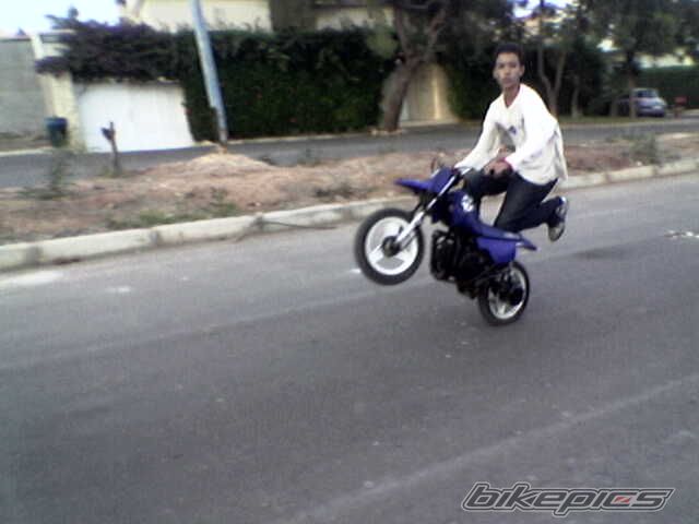 Photo 702986