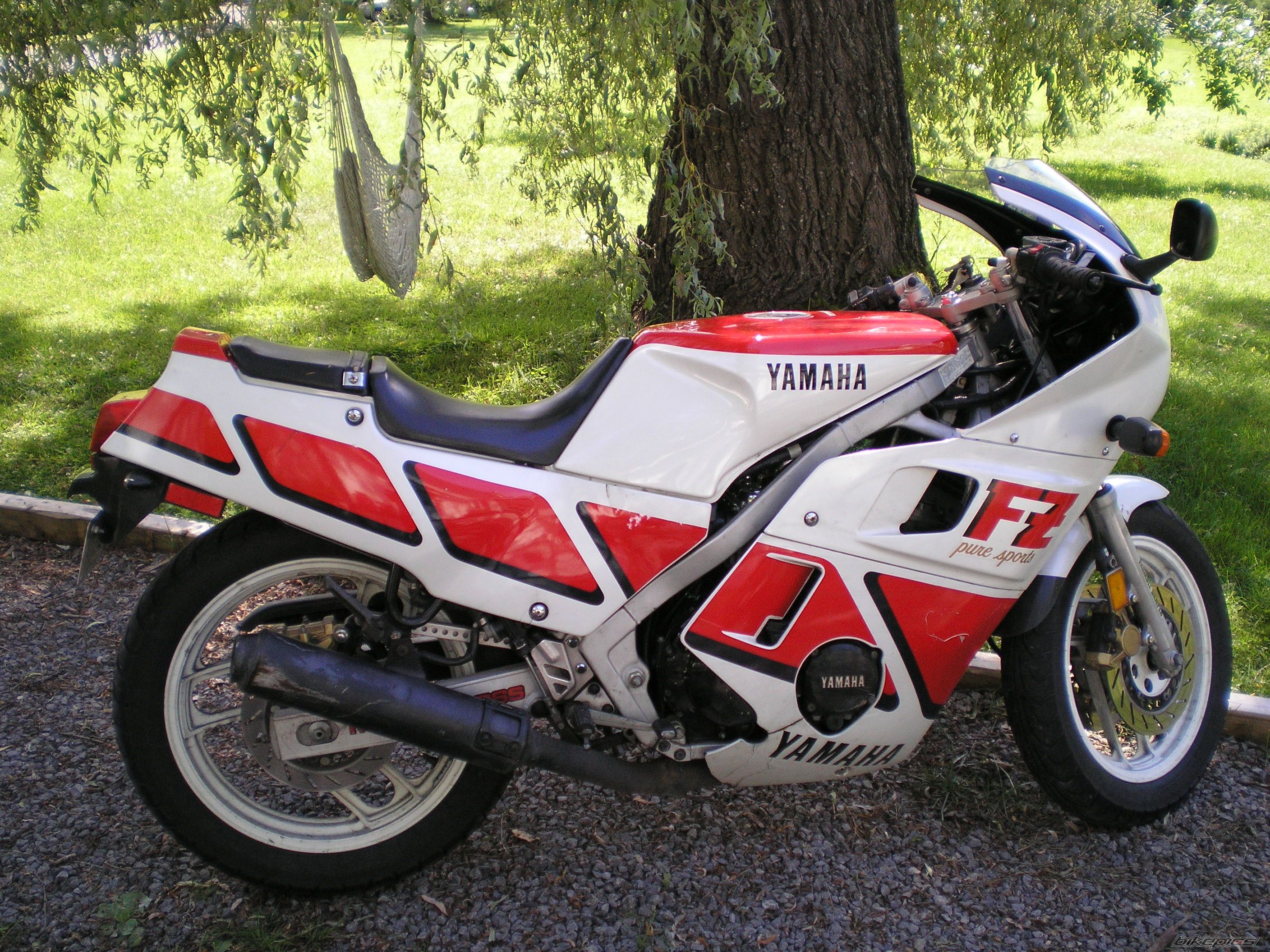 Bike Photo 703223