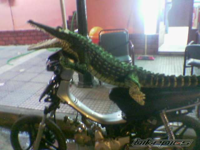 Bike Photo 703362