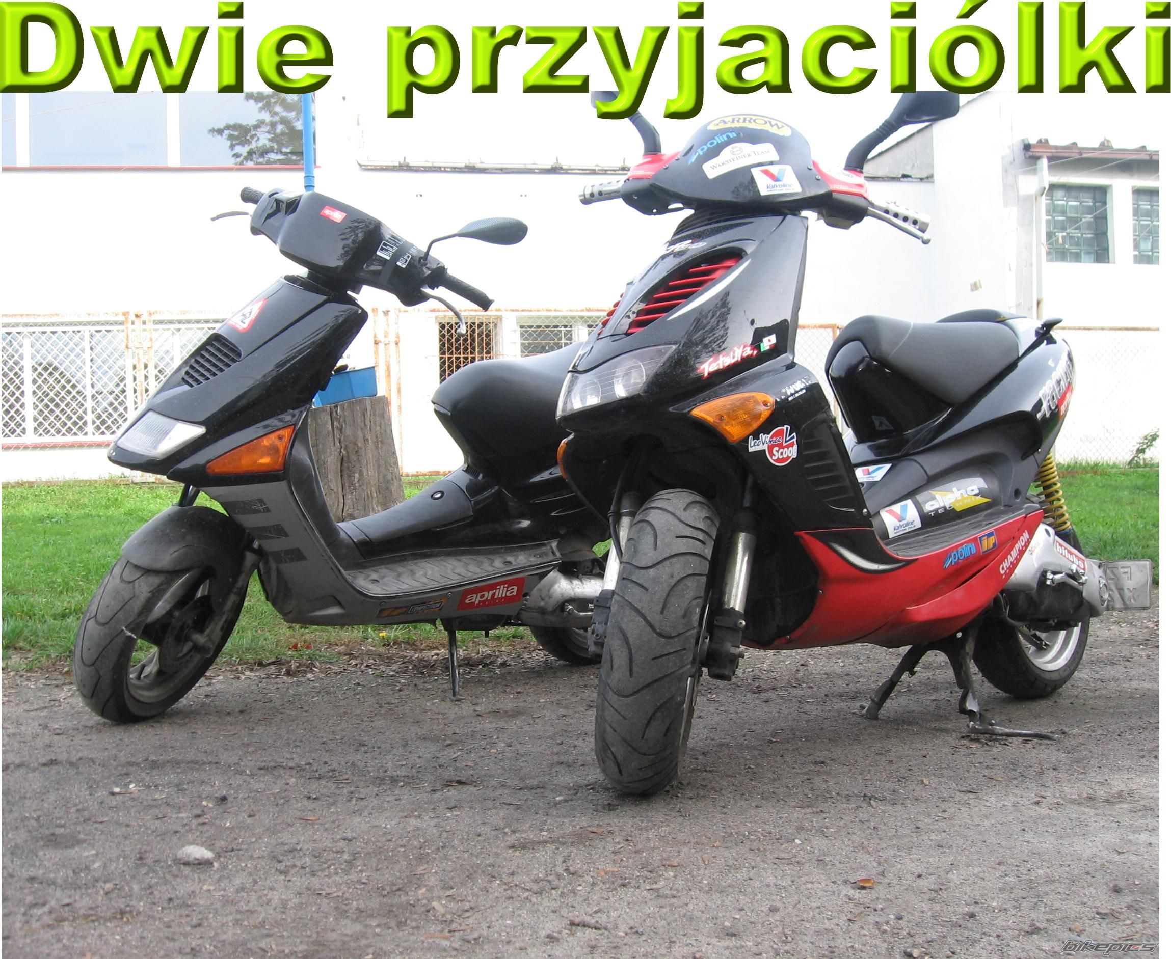 Photo 703399