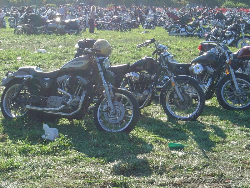 Photo 703412