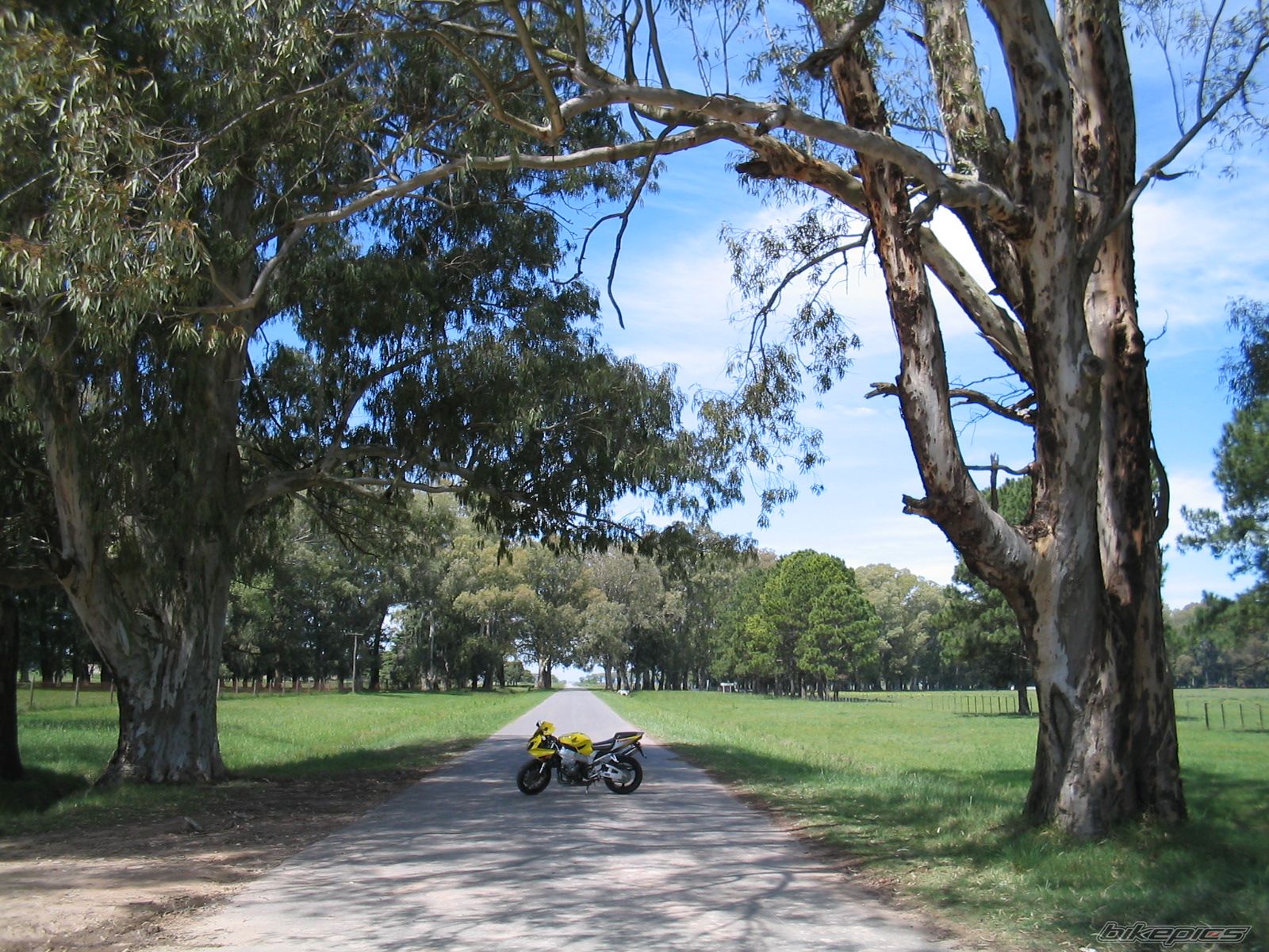 Bike Photo 703480
