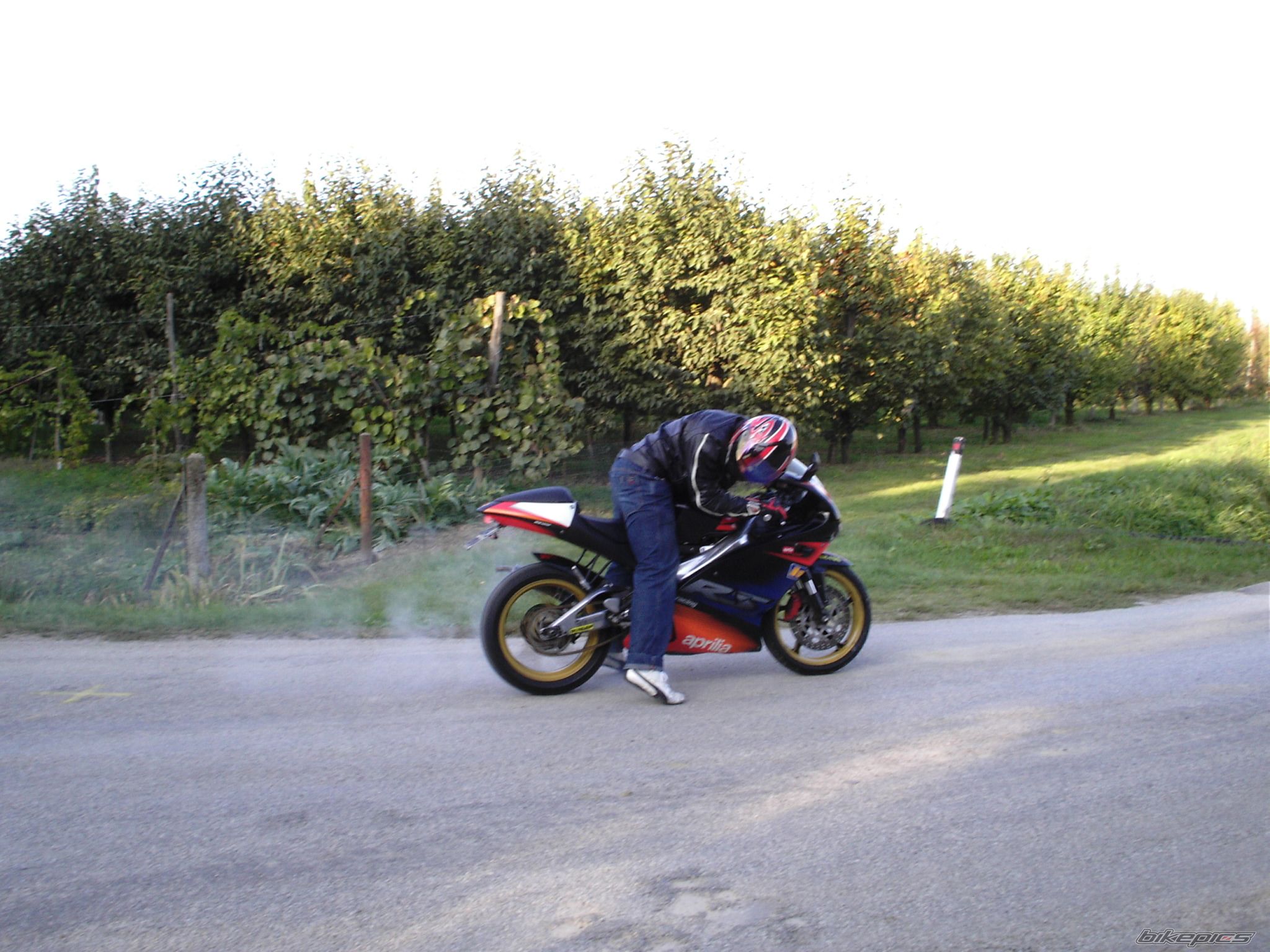 Bike Photo 703521