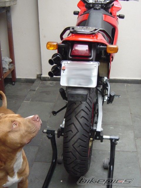 Photo 703721