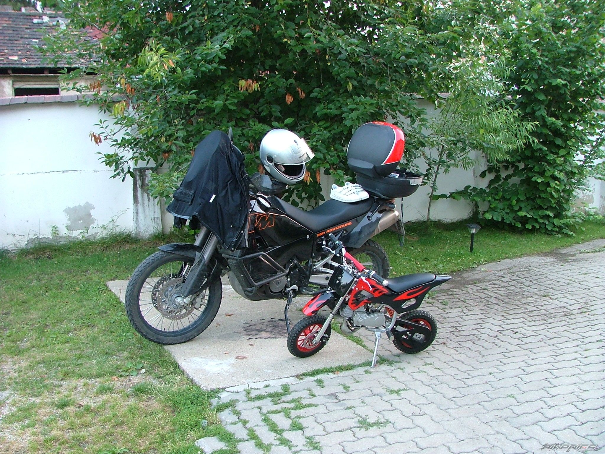 Photo 703957