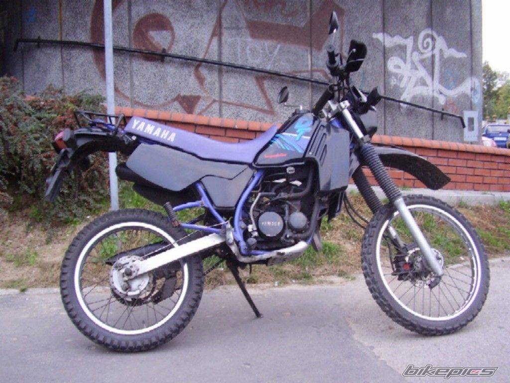Photo 704292