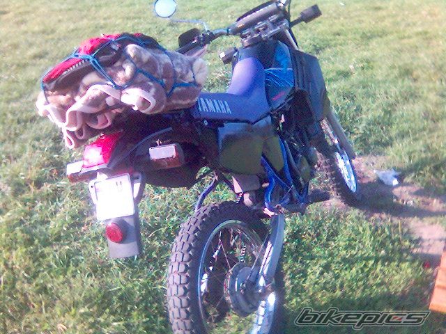 Photo 704298
