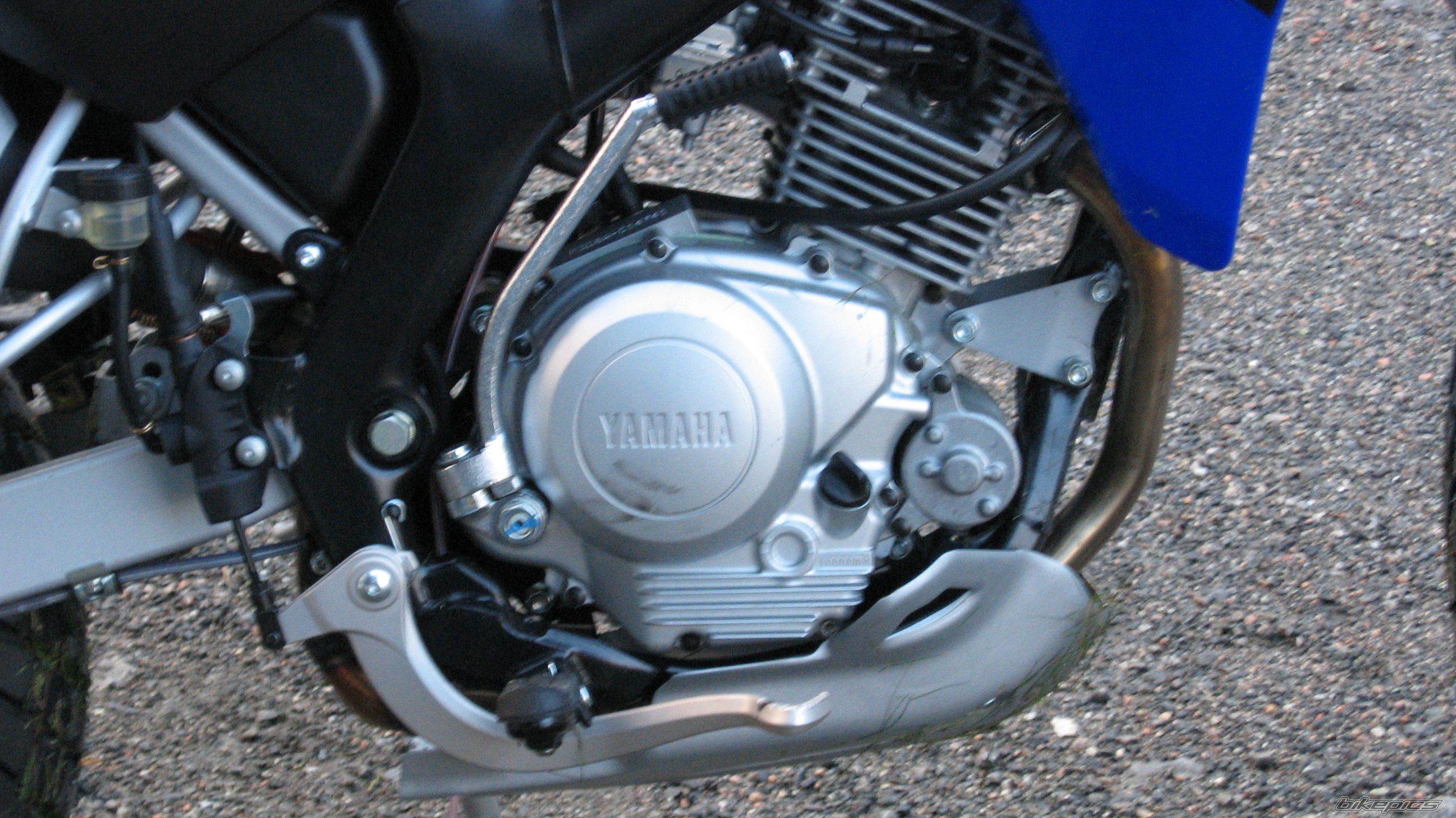 Bike Photo 704449