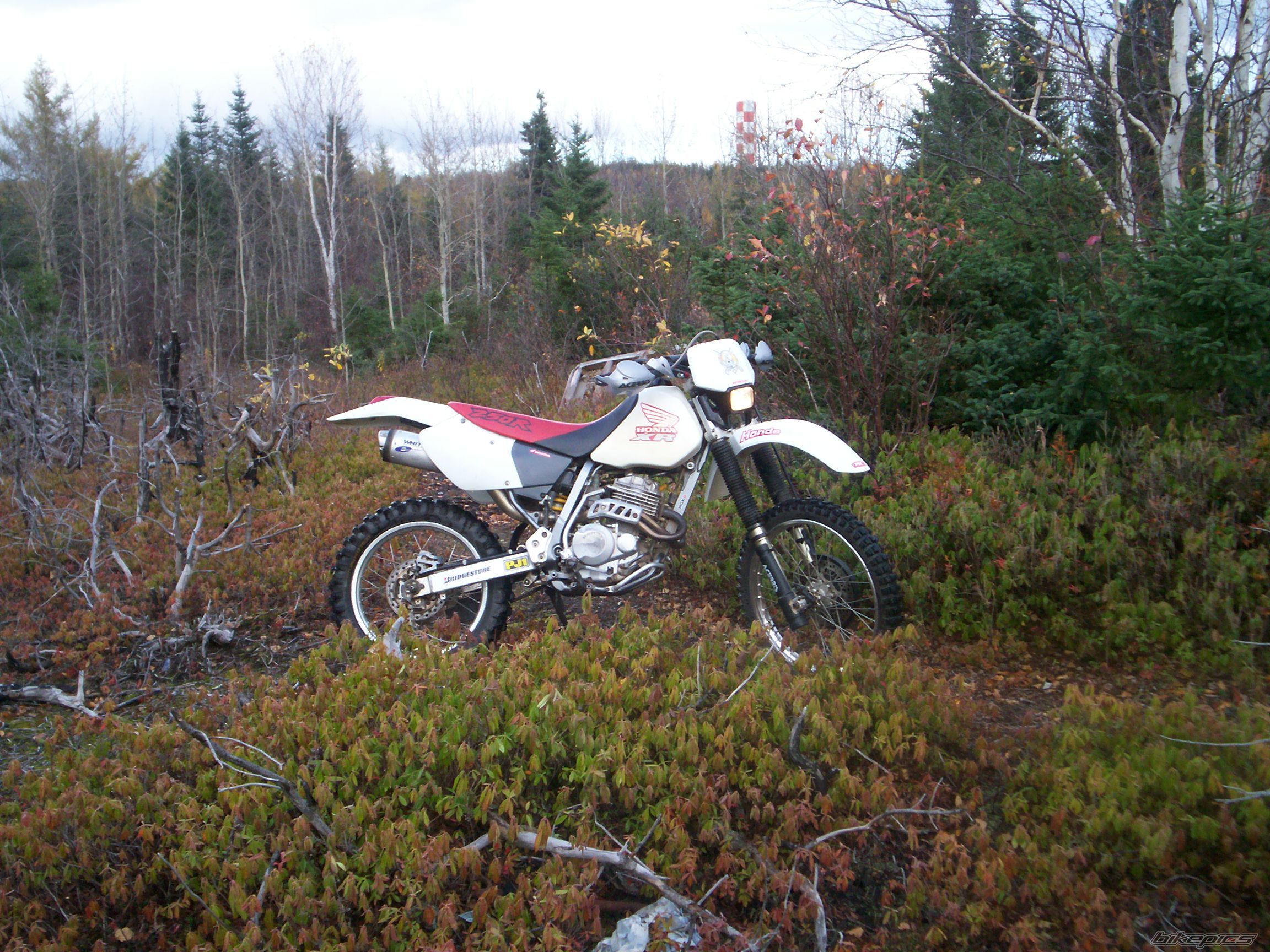 Photo 704678