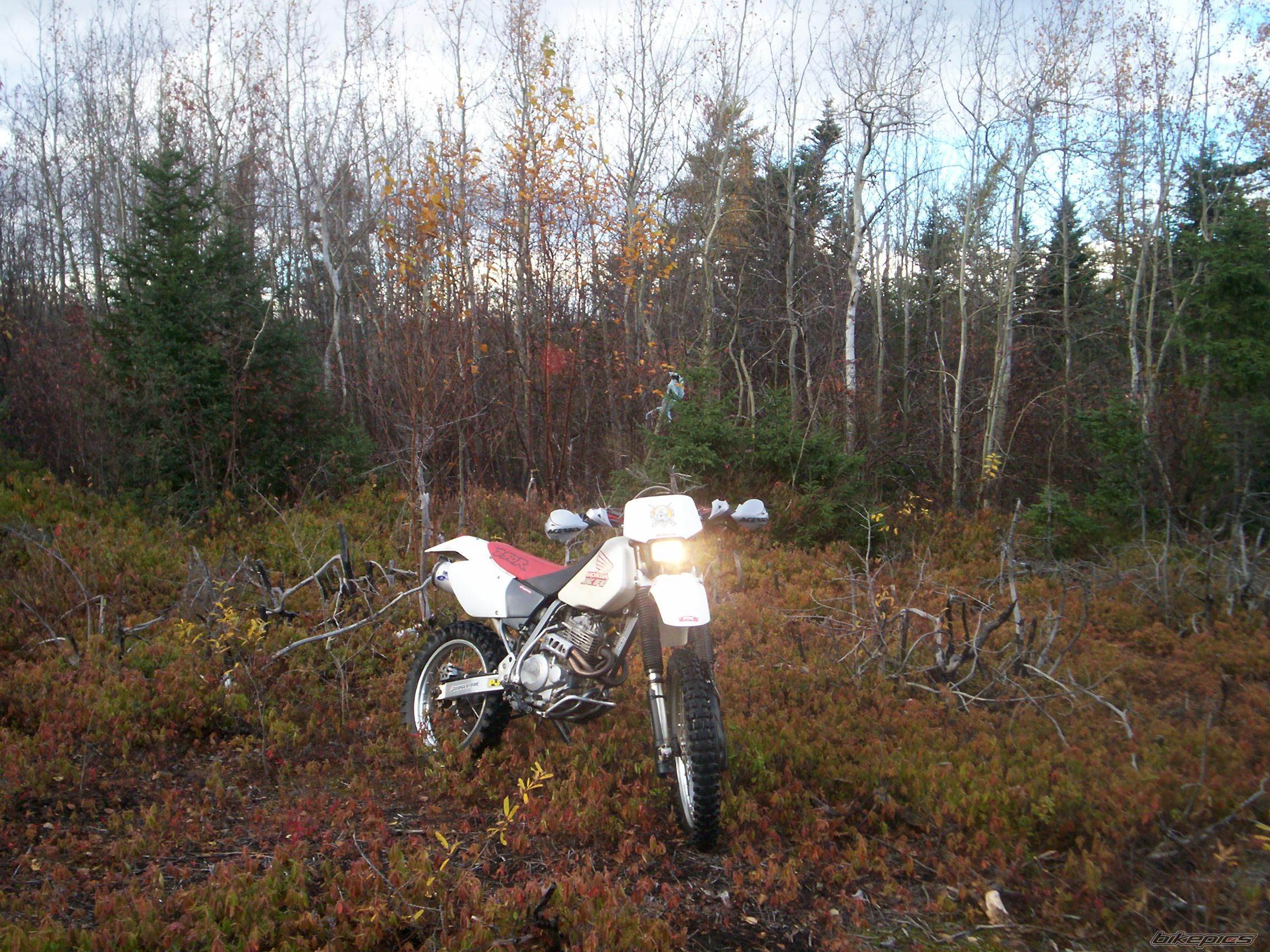 Photo 704684