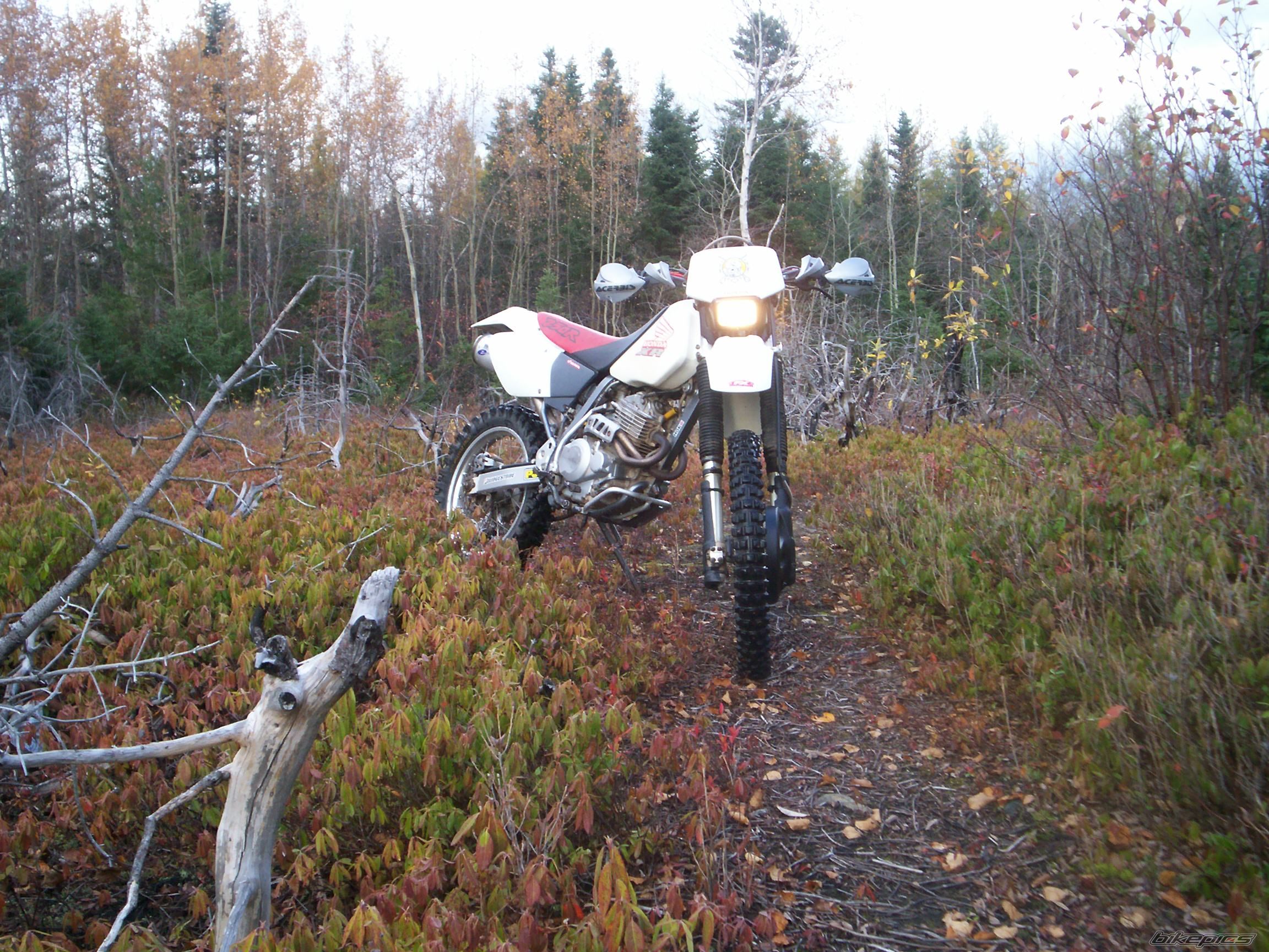 Photo 704691