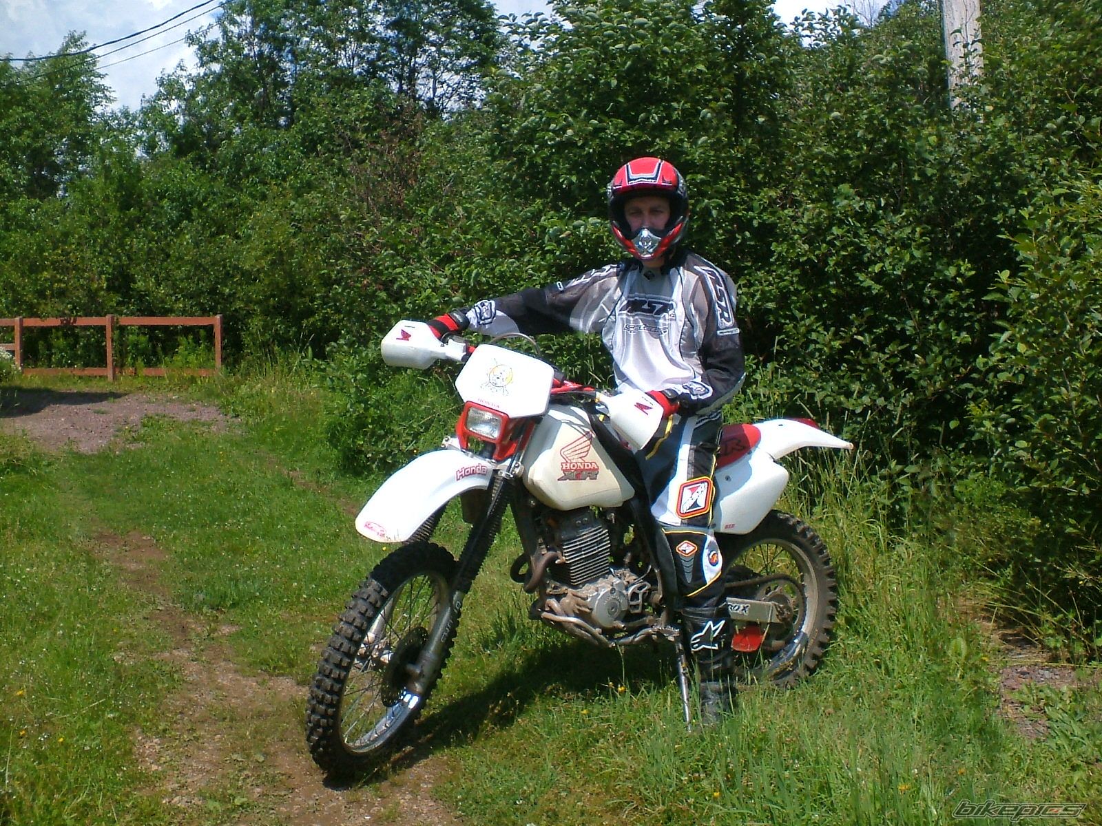 Photo 704704