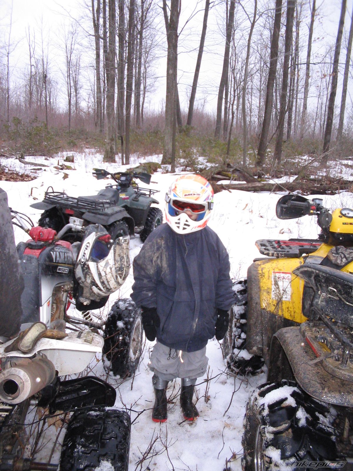 Photo 704729