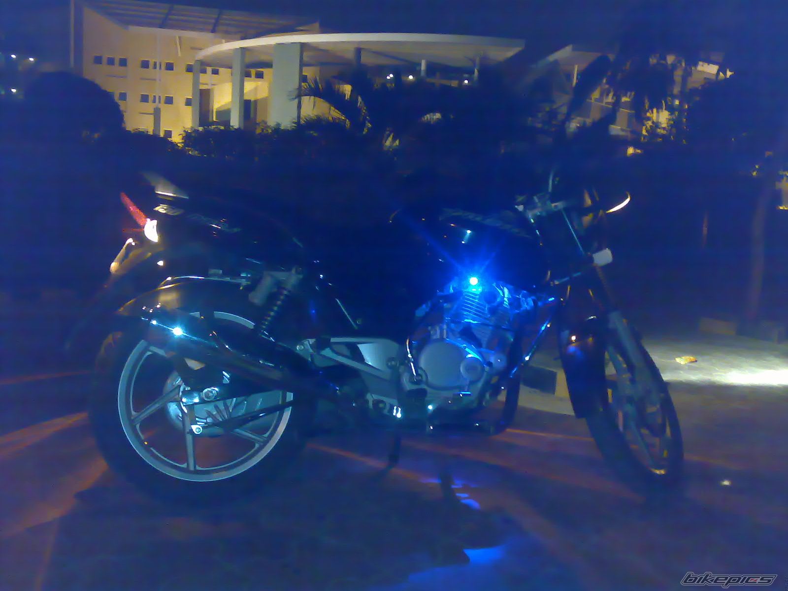 Photo 704901