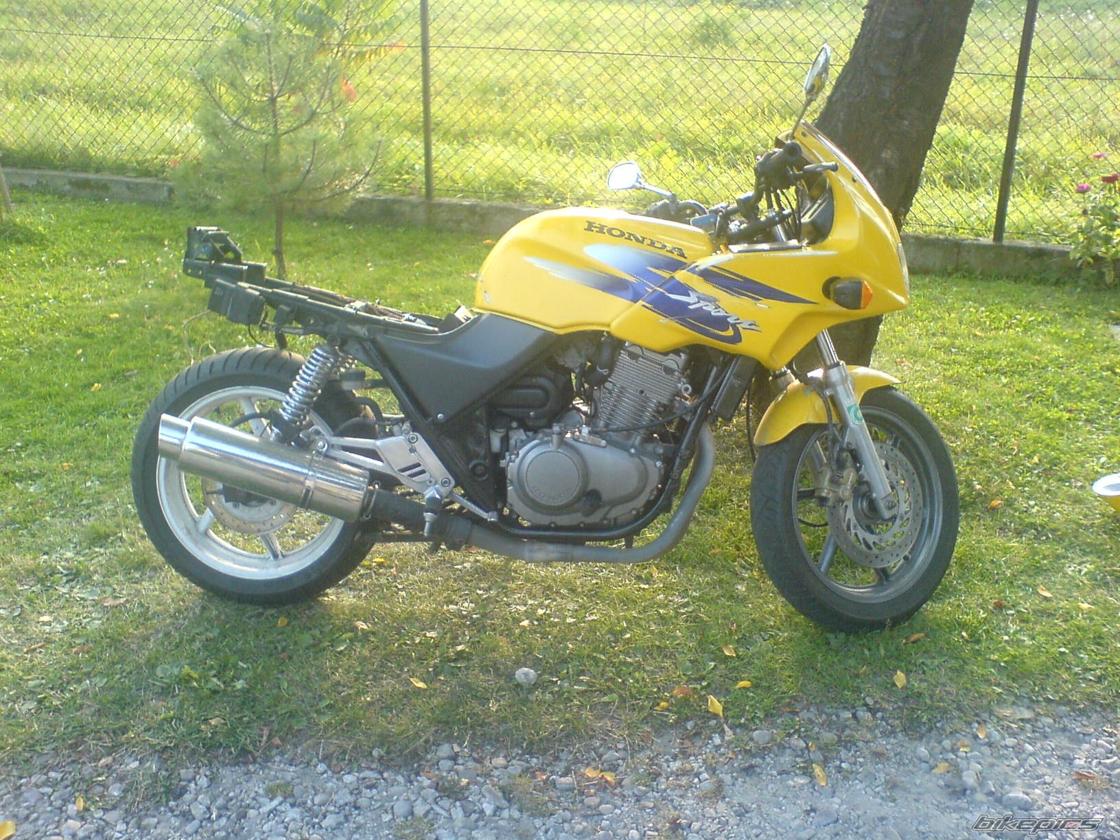 Bike Photo 704988