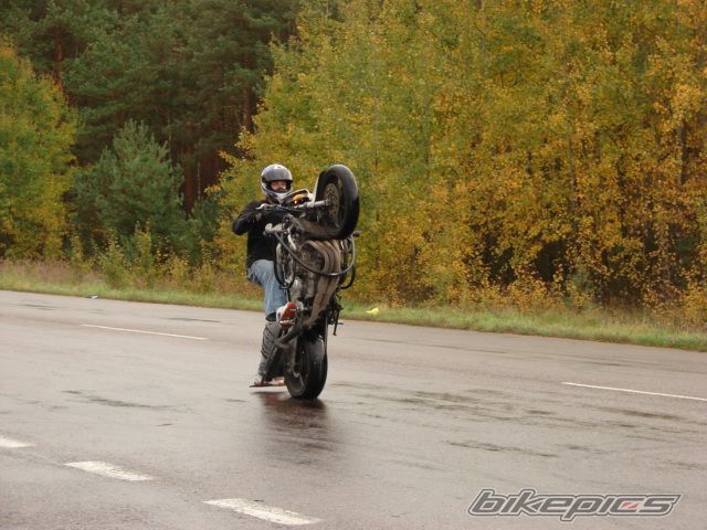 Photo 705115