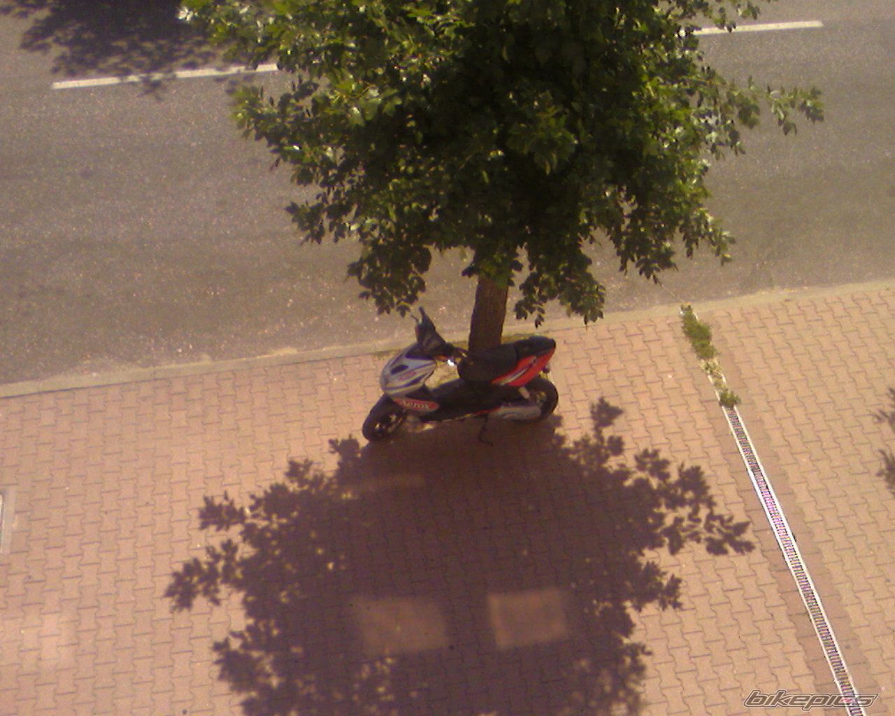 Bike Photo 705134
