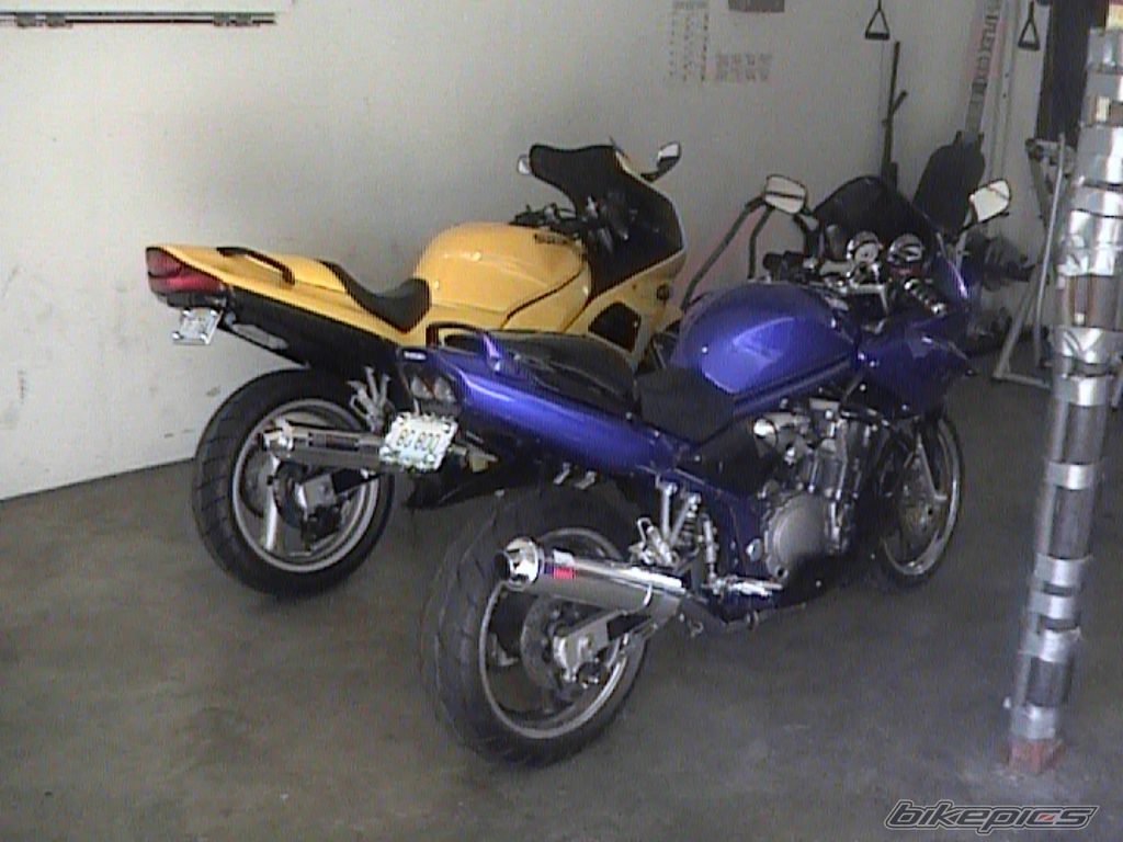 Photo 705344