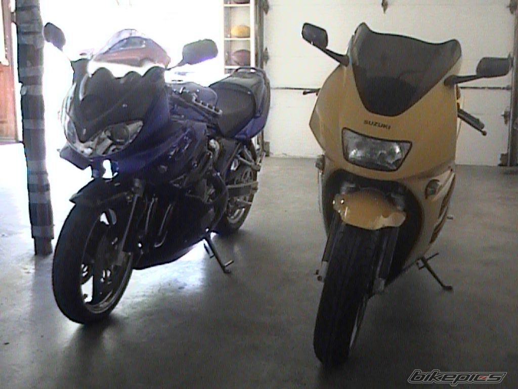 Photo 705346