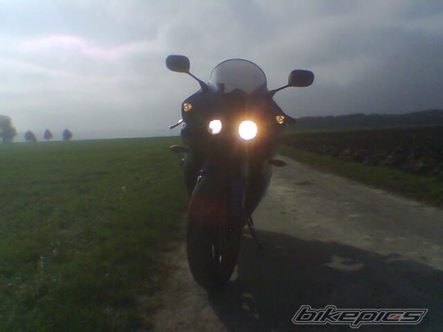 Photo 705364